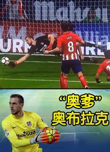 以一位专业 以一位专业