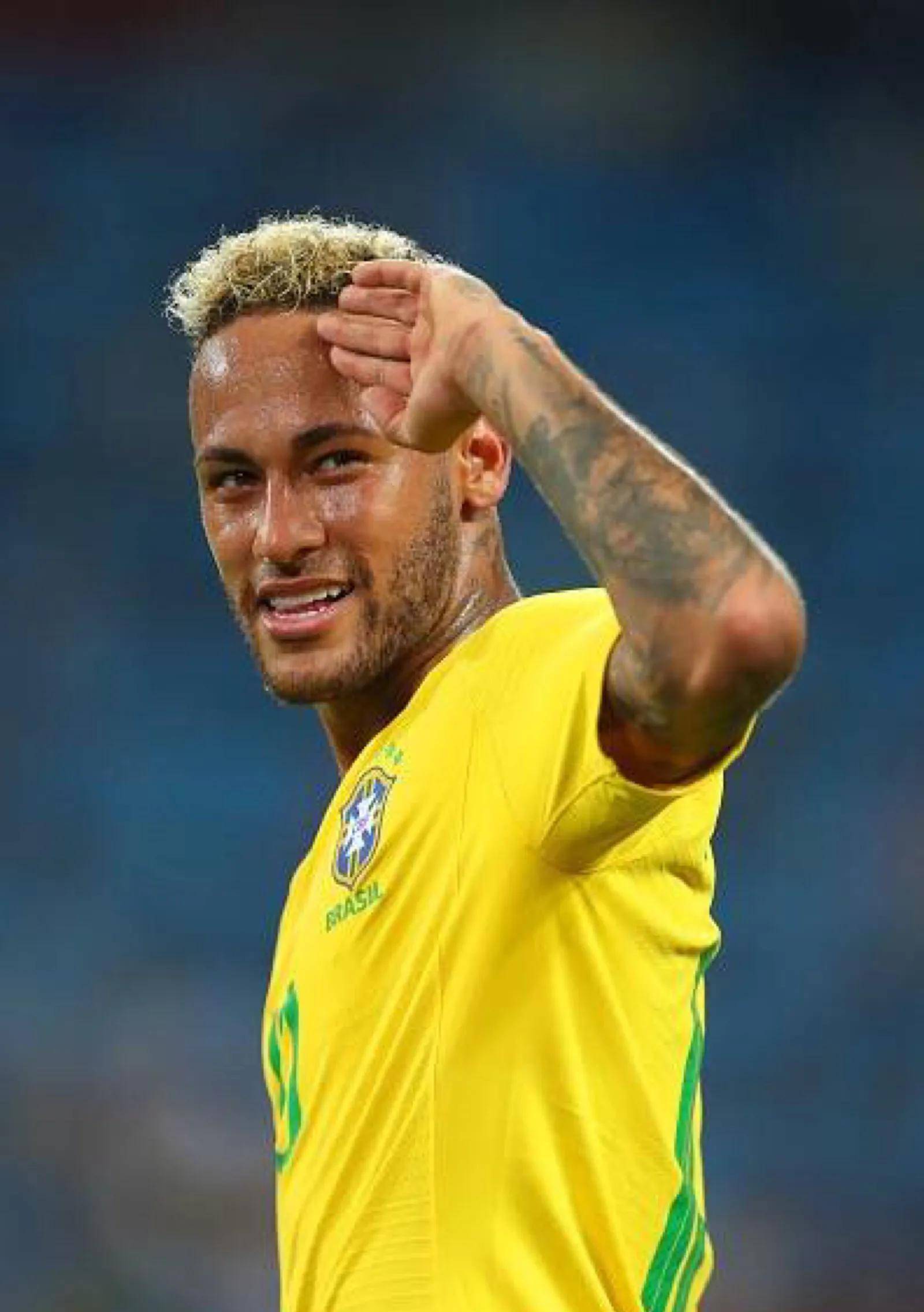 可能并不会 可能并不会