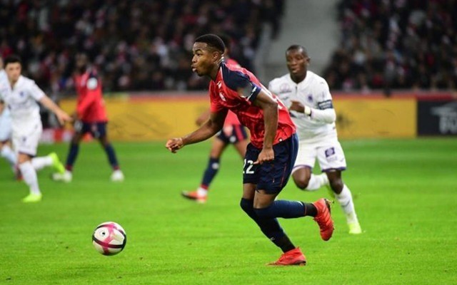 罗德里戈形 罗德里戈形